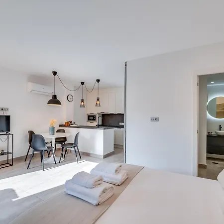 Impresionante Loft En Pleno Centro De Appartement Marbella